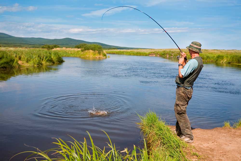Рыбалка на рыбинском водохранилище: места где можно поставить палатку и порыбачить