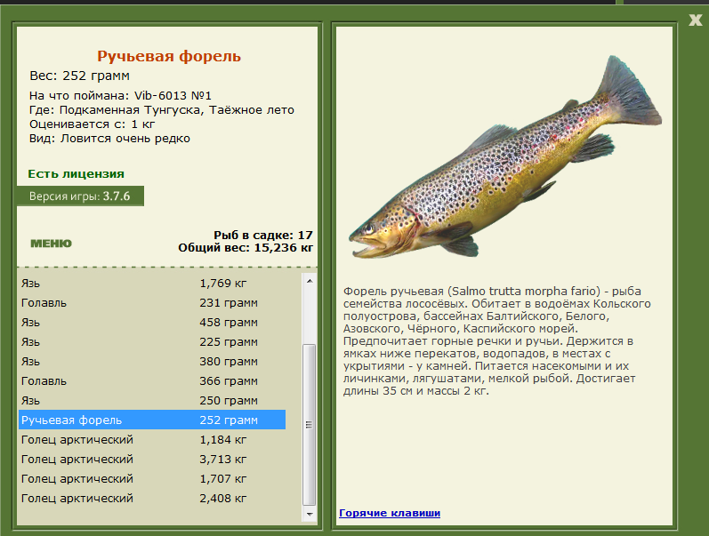 Виды белой рыбы, названия с фото, полный список, полезные свойства