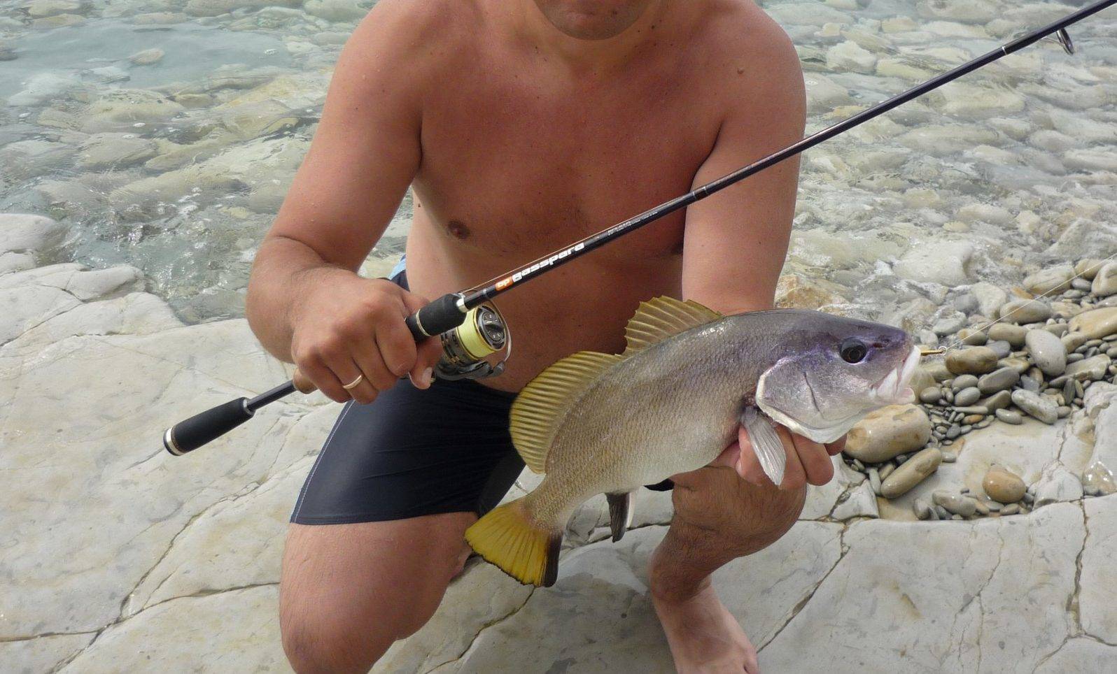 Рыбалка в анапе — особенности анапской рыбалки
