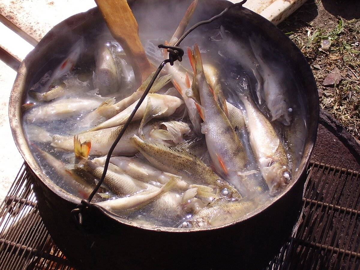 Скромные продукты, блестящий результат – уха из речной рыбы. готовим наваристую уху из речной рыбы в кастрюле и в горшочках