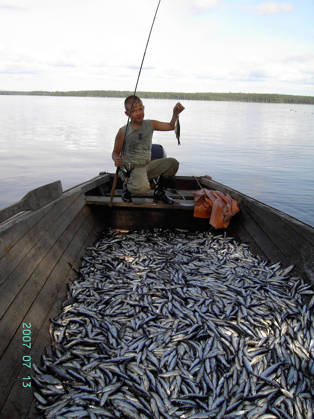 Обзор рыбалки на онежском озере в начале июля: описание