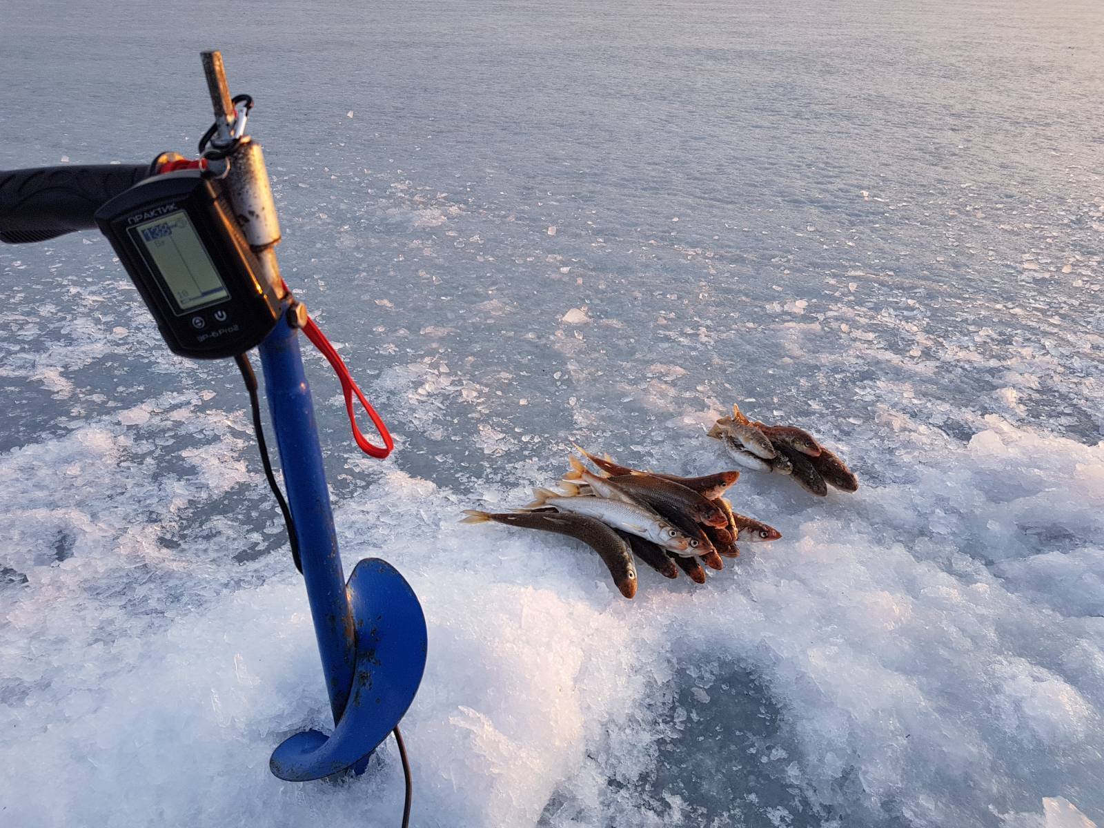 Эхолот для зимней рыбалки через лед: основные характеристики и лучшие модели