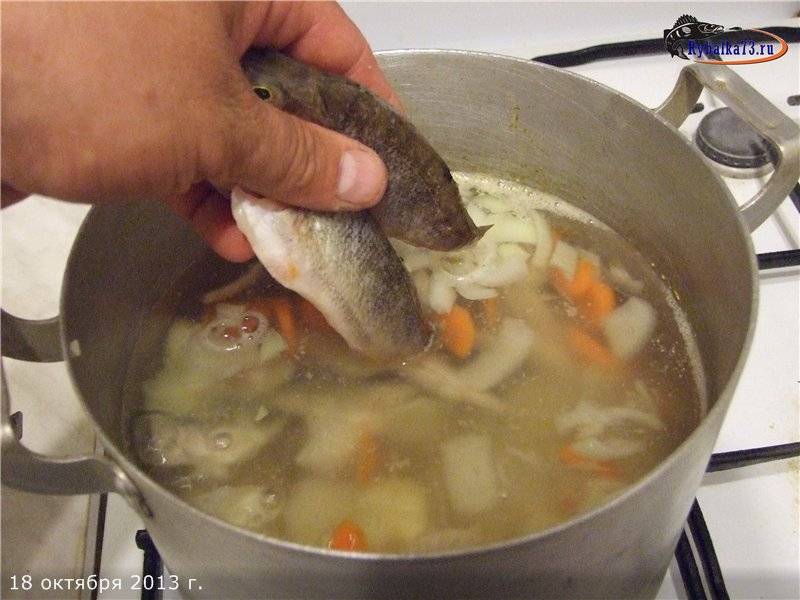 Уха классическая – рецепт первого блюда из рыбной мелочи и крупной морской рыбы. рецепты классической ухи с картофелем, водкой, пряностями
