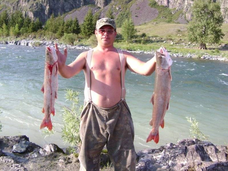 Рыбалка на реке катунь — каталог рыболовных туров