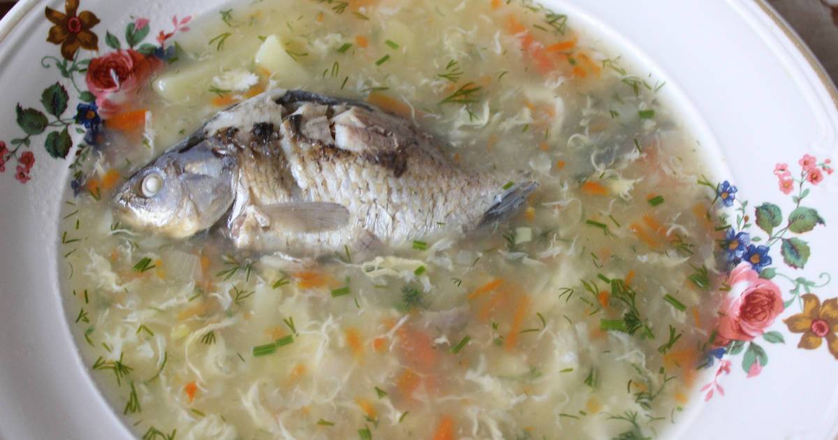 Уха из карася просто и вкусно: рецепты приготовления с фото