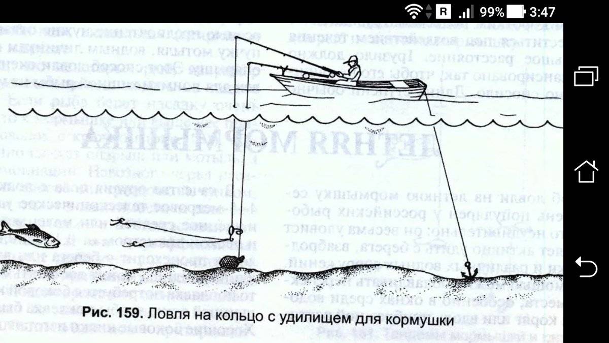 Ловля леща на кольцо, в том числе зимой, и на течении с лодки: оснастка и схема рыбалки, описание бортовых удочек