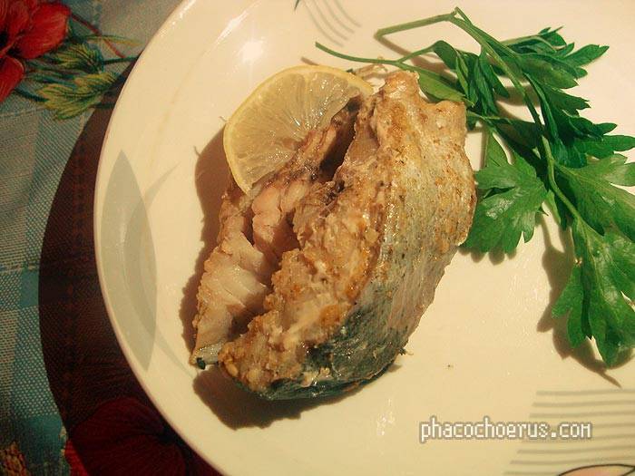 Рыба сайда — как готовить? 5 вкусных рецептов приготовления в духовке и на сковороде - советы