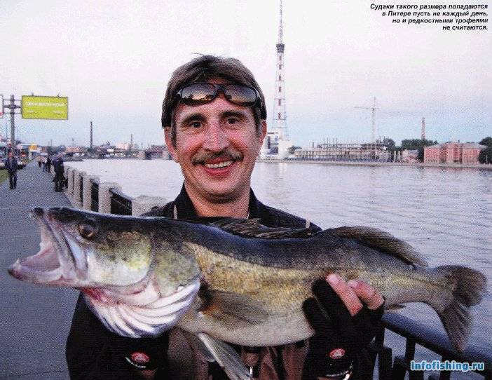 Рыбалка в спб: лучшие места для ловли в санкт-петербурге, какие рыбы водятся