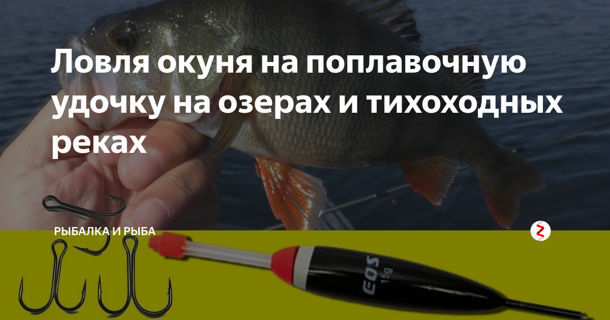 ᐉ как сделать поплавочную удочку, самая правильная оснастка - ✅ ribalka-snasti.ru