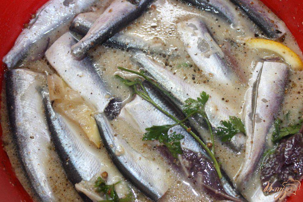 Салака польза и вред, изучаем полезные свойства рыбы
