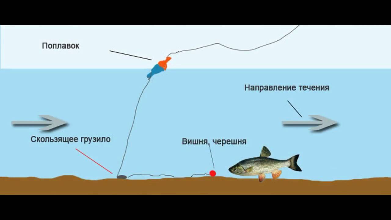 На что ловить голавля – основные моменты