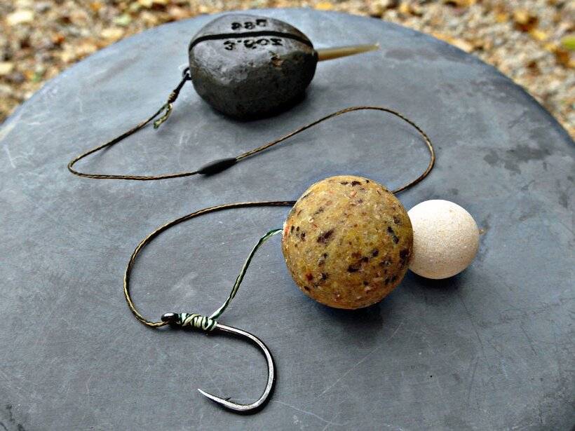 Ловля на бойлы — советы, какие выбрать с описанием, какую рыбу на них ловят. изготовление оснастки, приманки, техника ловли карпа