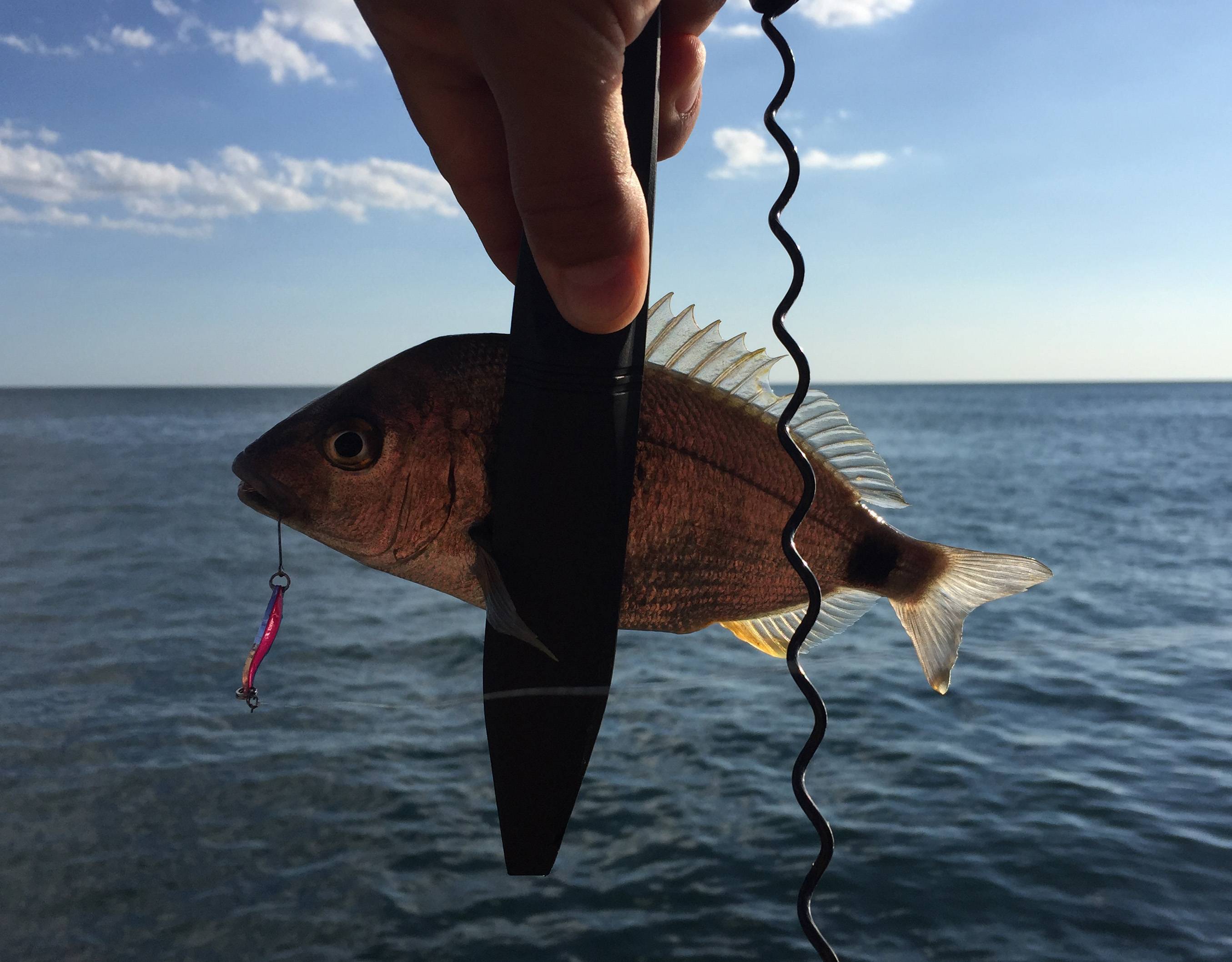 Рыбалка в анапе: отзывы. морская рыбалка с берега