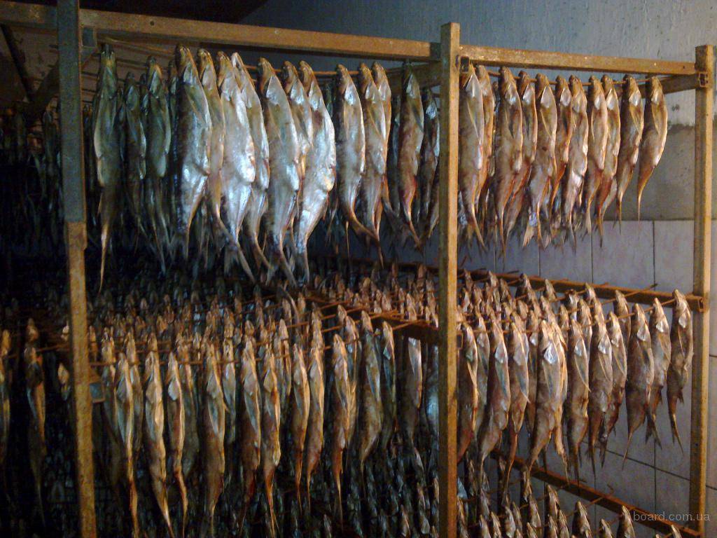Условия хранения вяленой и сушеной рыбы