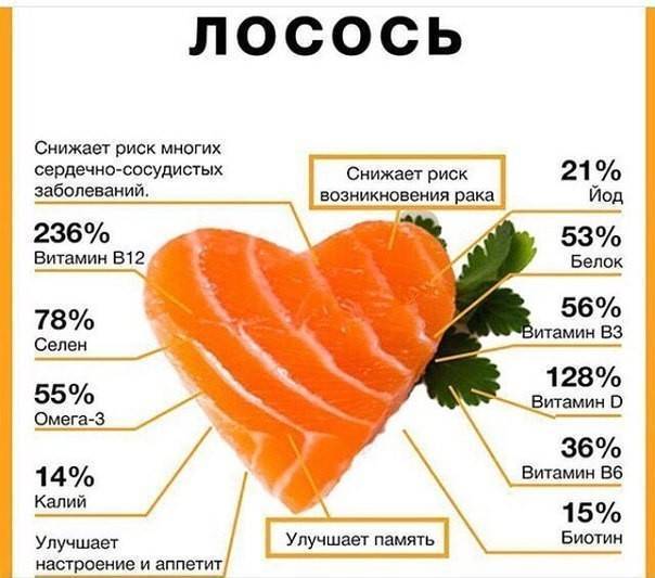 Толстолобик – описание рыбы, польза и вред, как хранить, рецепты приготовления на ydoo.info