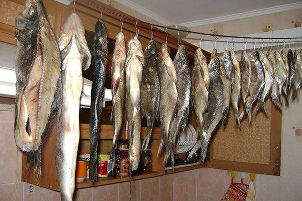 Как вялить рыбу в домашних условиях – рецепт засолки, этапы и способы хранения