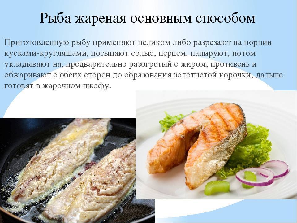 Рецепты приготовления рыбы нототении