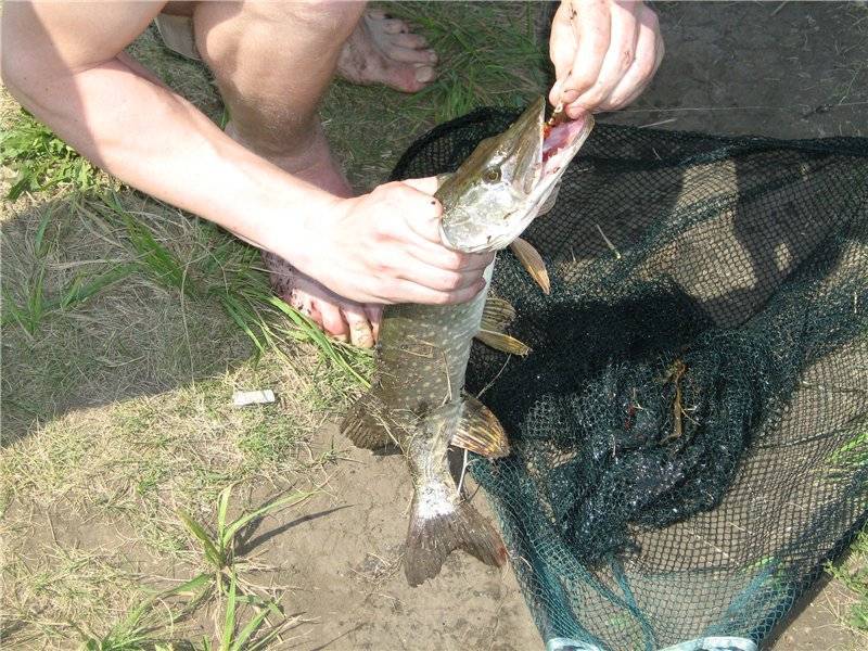 Рыбалка в самарской области — водоемы, снасти, базы, отзывы