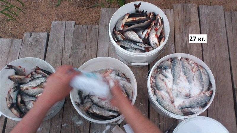 Как засолить рыбу для сушки или вяления? засолка рыбы: рецепт, продолжительность