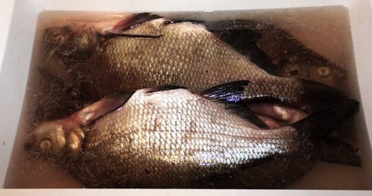 Как солить красную рыбу в домашних условиях вкусно и просто - 8 рецептов пошагово