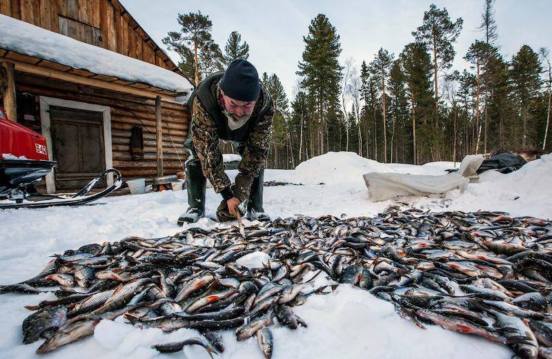 ✅ рыбалка в сибири - fish-hunt.net.ru