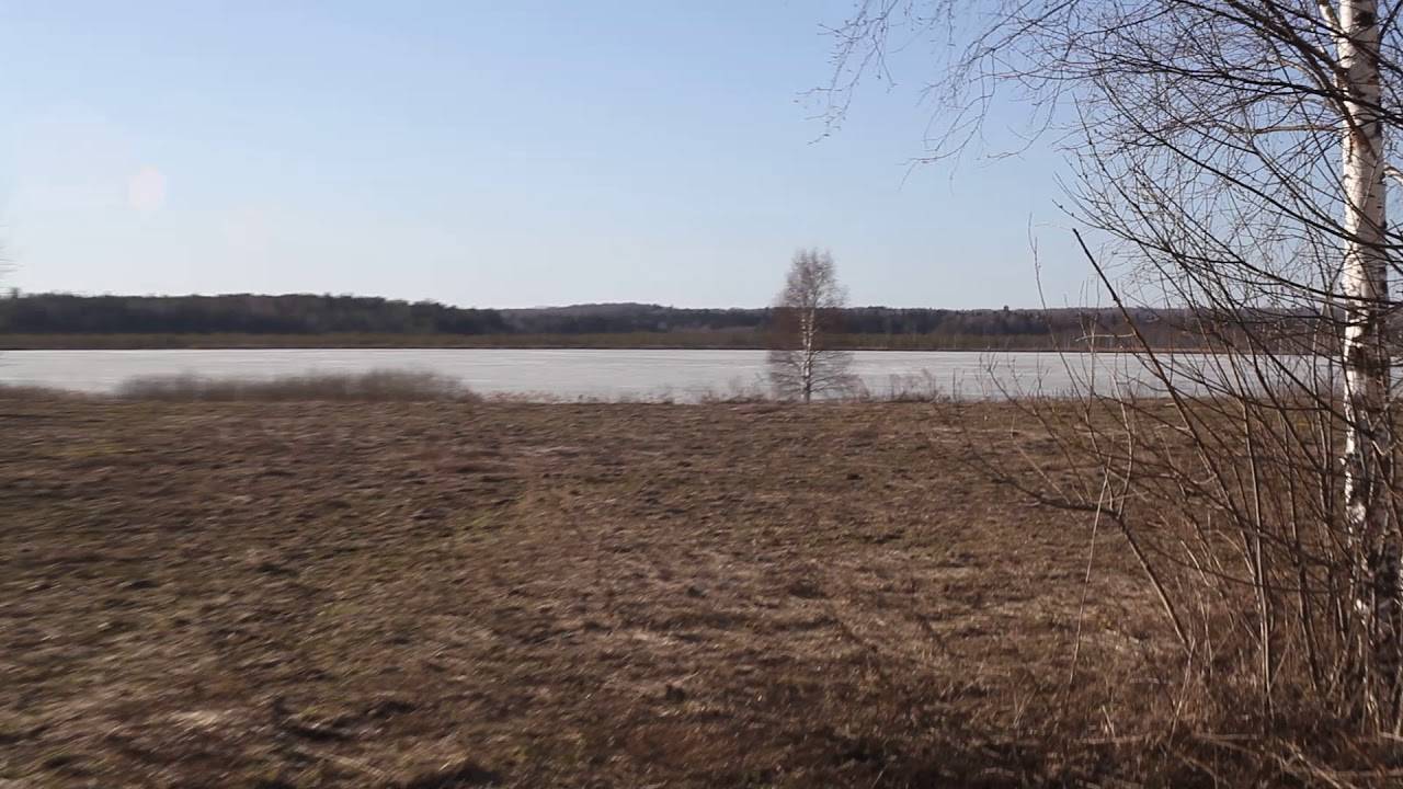 Рыбалка в савельево переславского района, лучшие места для ловли на озере