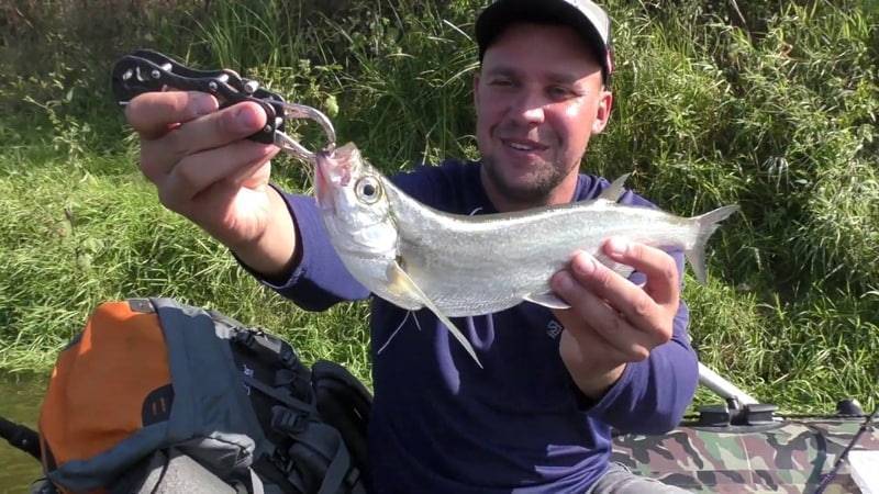 Платная рыбалка в брянской области: рыболовные базы, водоемы и туры брянской области