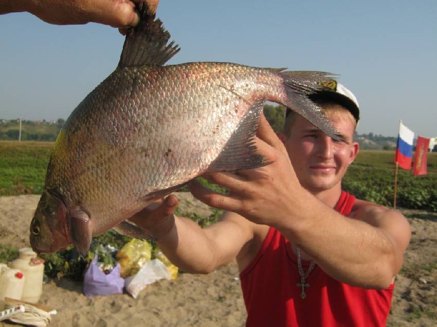 Рыбалка в брянске и брянской области: места для ловли на десне и местных прудах, какая рыба водится