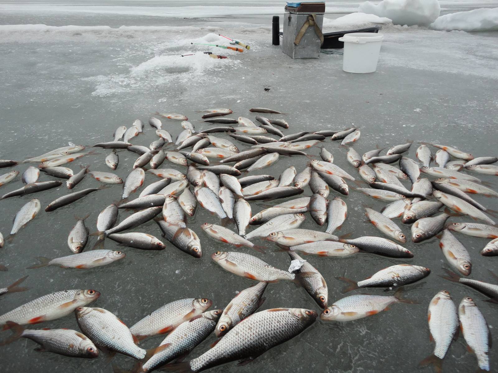 ✅ рыбалка в башкирии в ноябре - fish-hunt.net.ru