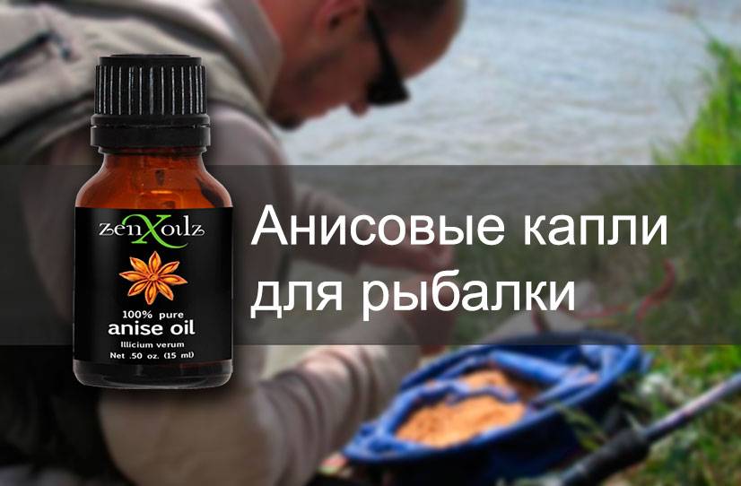 Аттрактанты для рыбалки: виды ароматизаторов для хищной рыбы и изготовление приманок своими руками