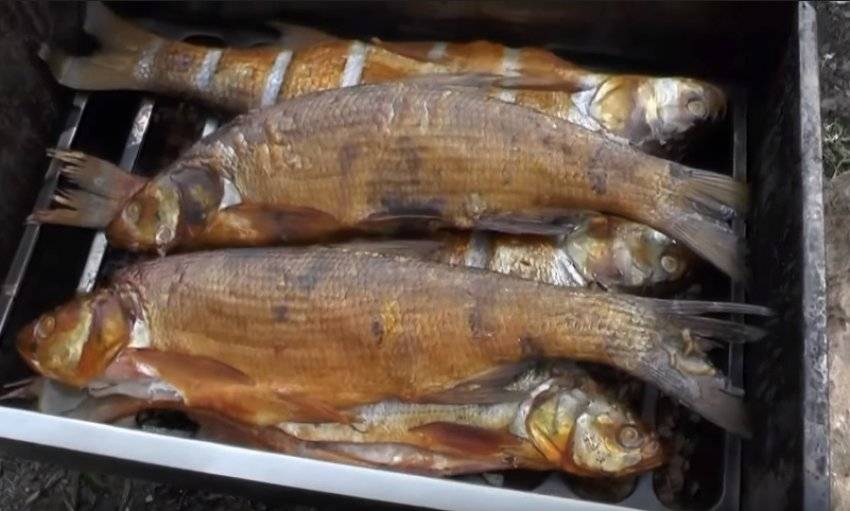 Как хранить копченую рыбу ?: холодного и горячего копчения, таблица сроков и условий хранения