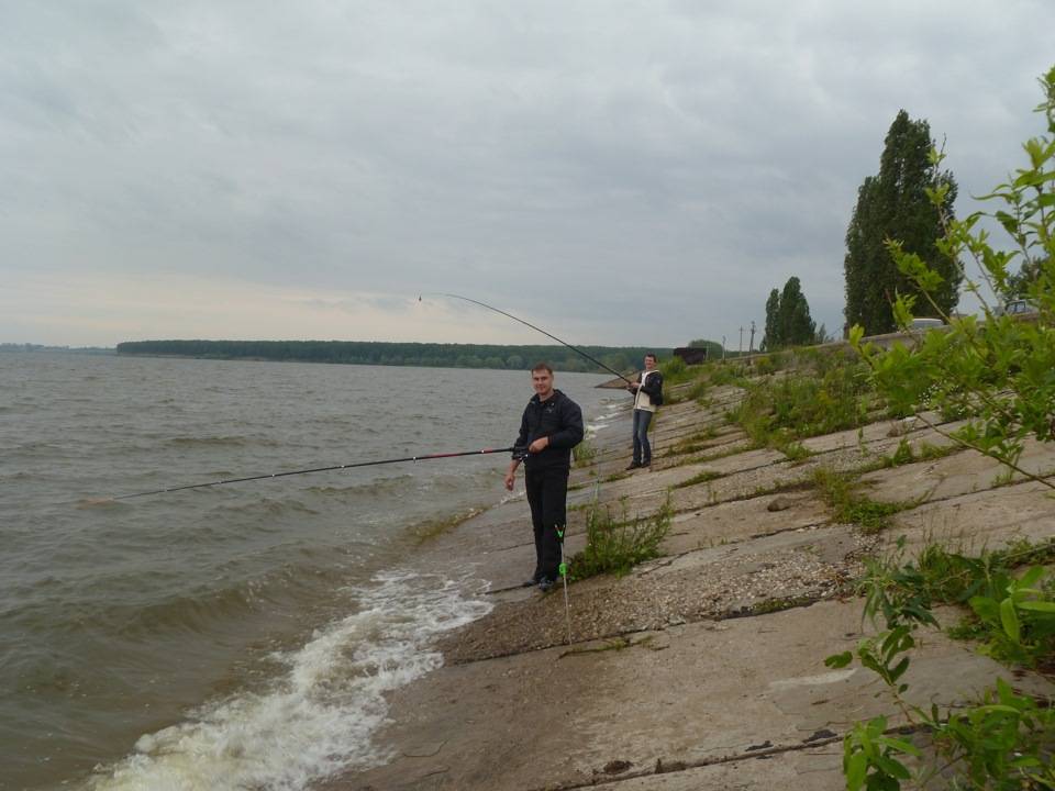 Рыбалка в тольятти: лучшие места для ловли (лопатино, хрящевка, васильевские озера), видовой состав рыб
