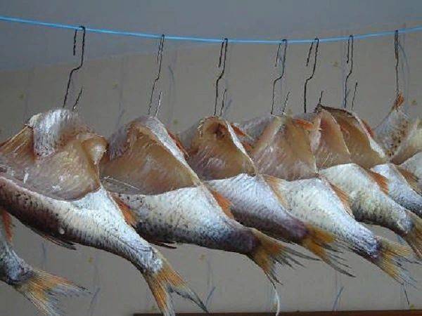 Как вялить рыбу в домашних условиях летом: проверенная тактика