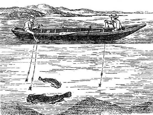 Особенности ловли сома на квок с лодки. как поймать сома