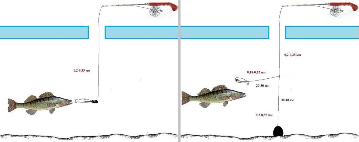 Как ловить судака зимой - на какие снасти? балансир, блесна и другие