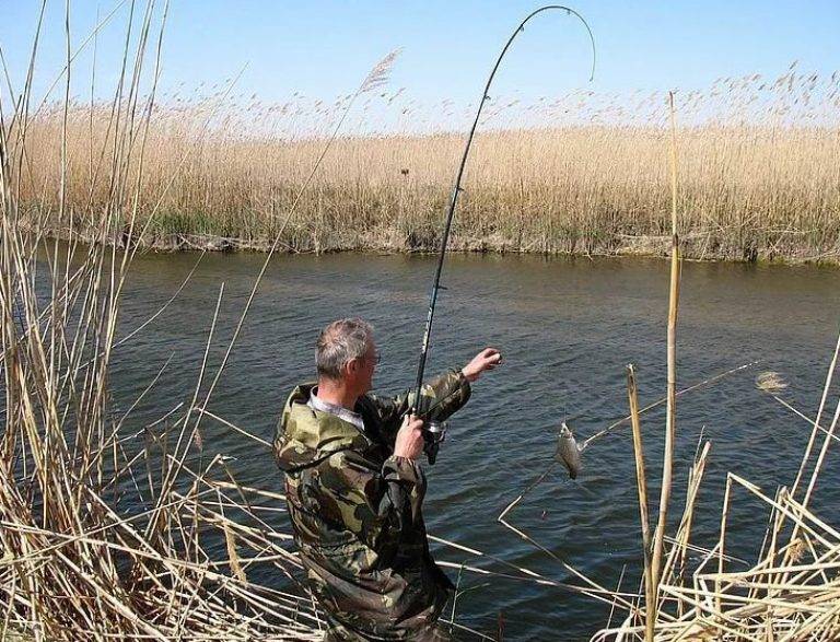 Рыбалка в ростовской области: места и отзывы