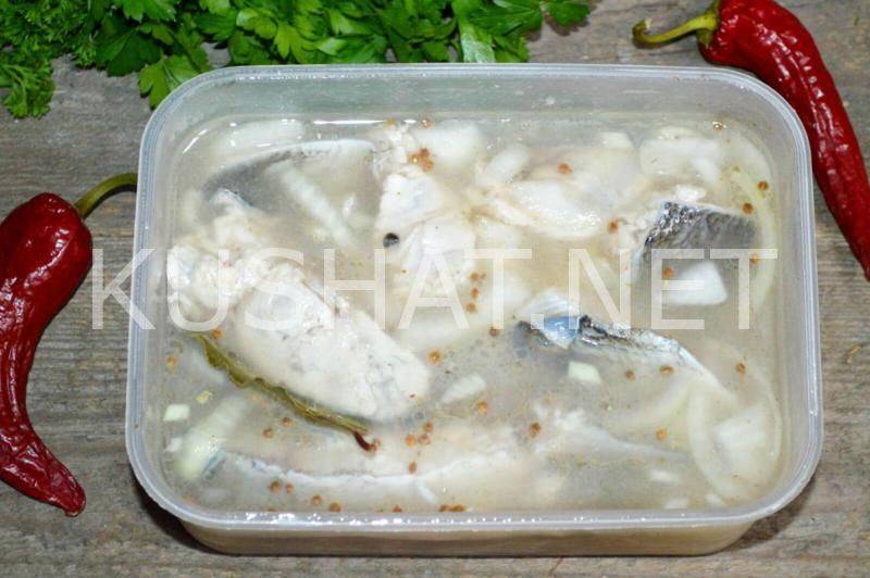 Маринованный толстолобик в домашних условиях - саламур из толстолобика рецепт