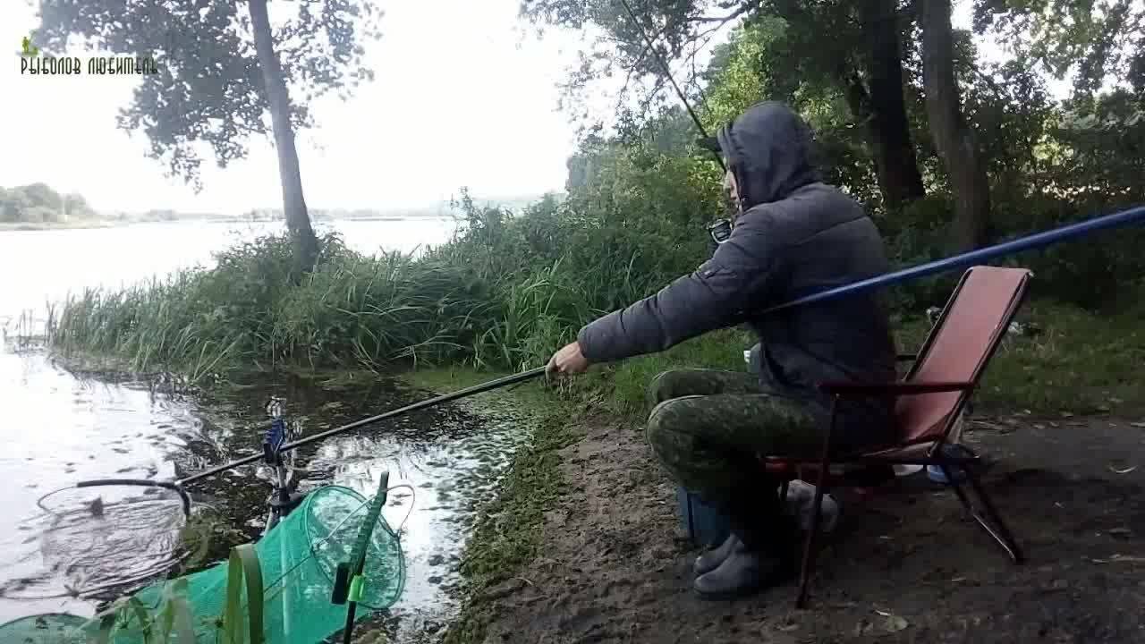 Ловля леща на фидер на реке - суперулов - интернет-портал о рыбалке