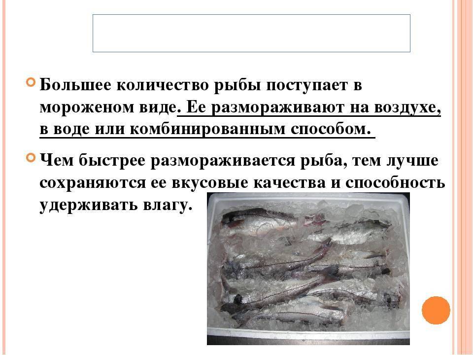 Разморозка рыбы: размораживание филе солью и водой, способы и хранение в домашних условиях, правила и советы