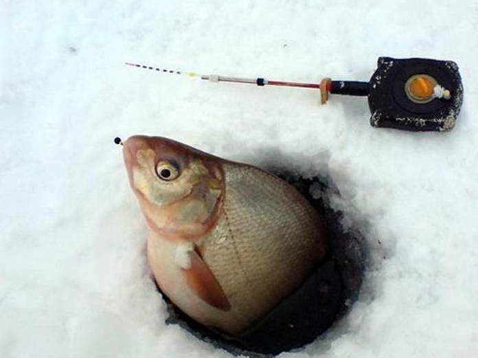 Зимняя ловля на мормышку (фото + видео): подробное руководство с пошаговым описанием тактики и техники ловли рыбы зимой