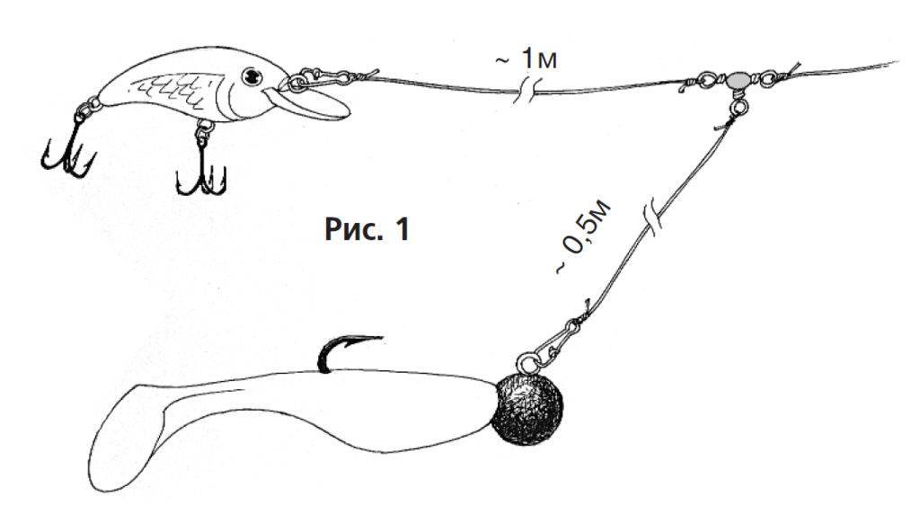 Основы проводок для ловли окуня на спиннинг | spinninglive