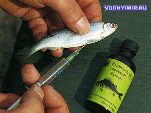 Аттрактанты для рыбалки: виды ароматизаторов для хищной рыбы и изготовление приманок своими руками