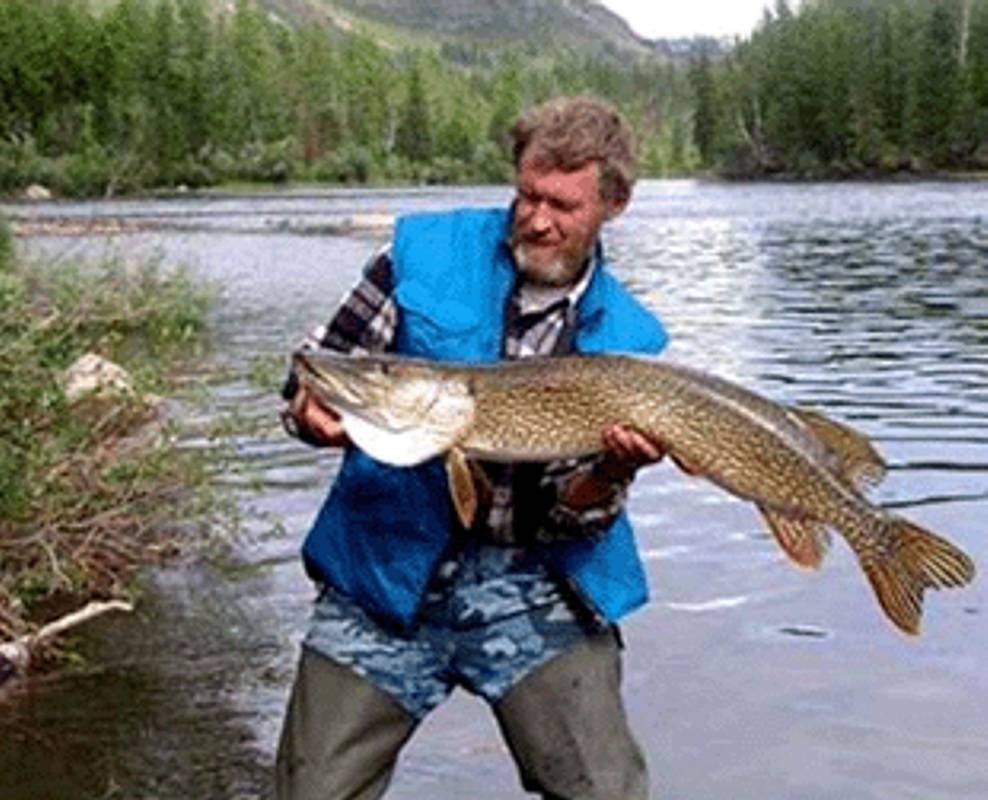 Алтайский край - календарь рыболова. рыбалка в алтайском крае.