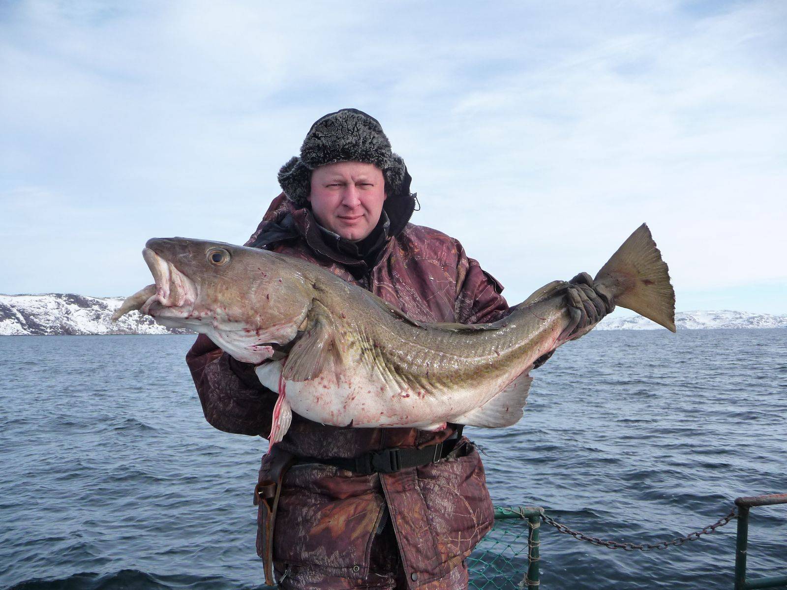 Рыбалка на палтуса в баренцевом море - рыбалка в россии и по всему миру - fishers-spb.ru