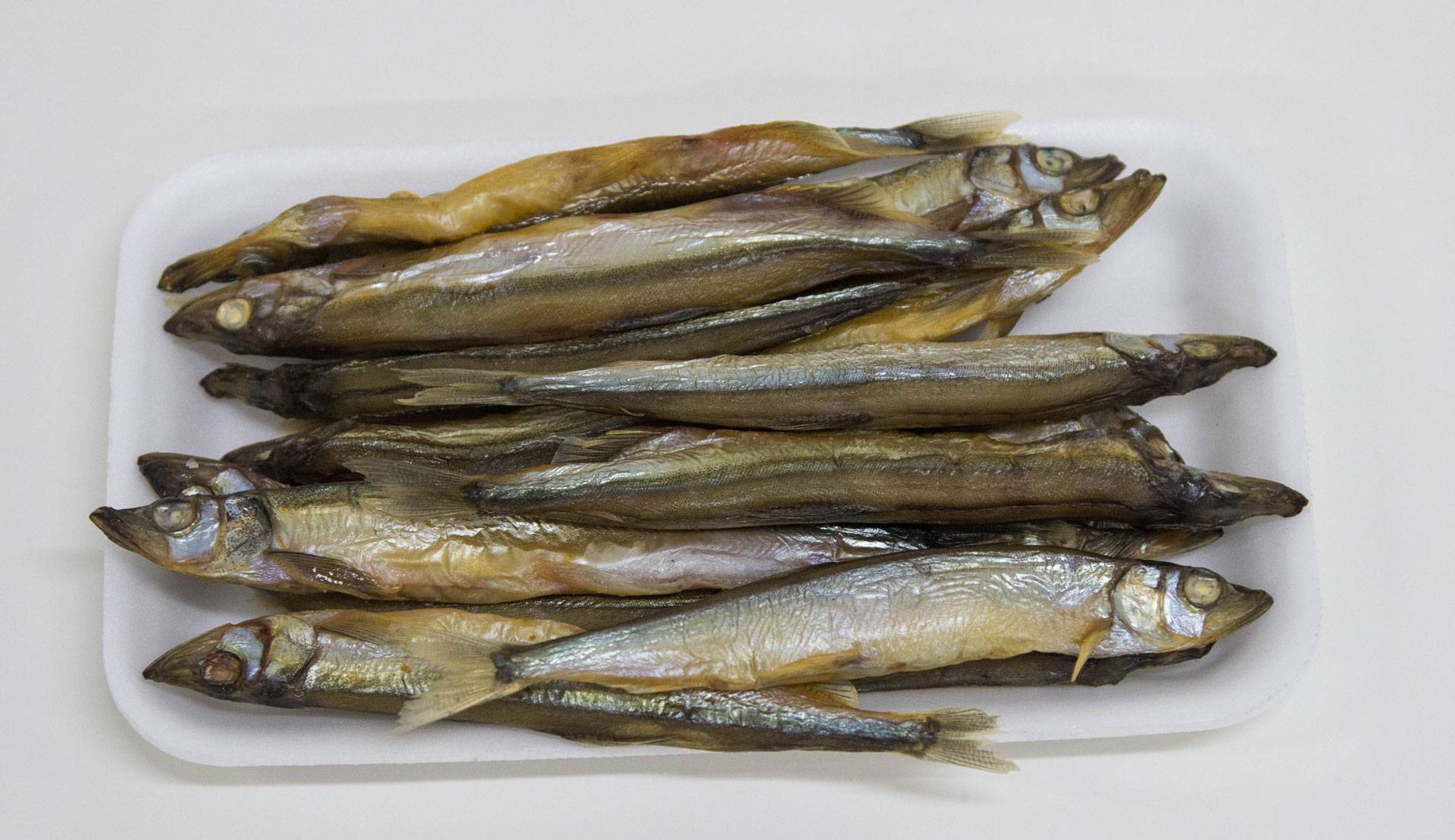 Рыба мойва: 5 интересных фактов и рецепт одного блюда
