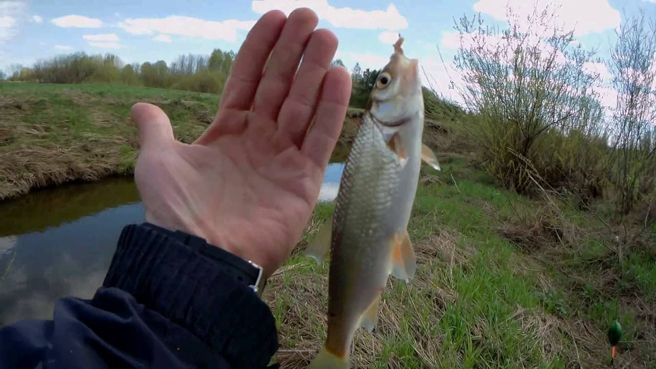 Рыбалка в апреле разных видов рыб: особенности апрельской ловли
