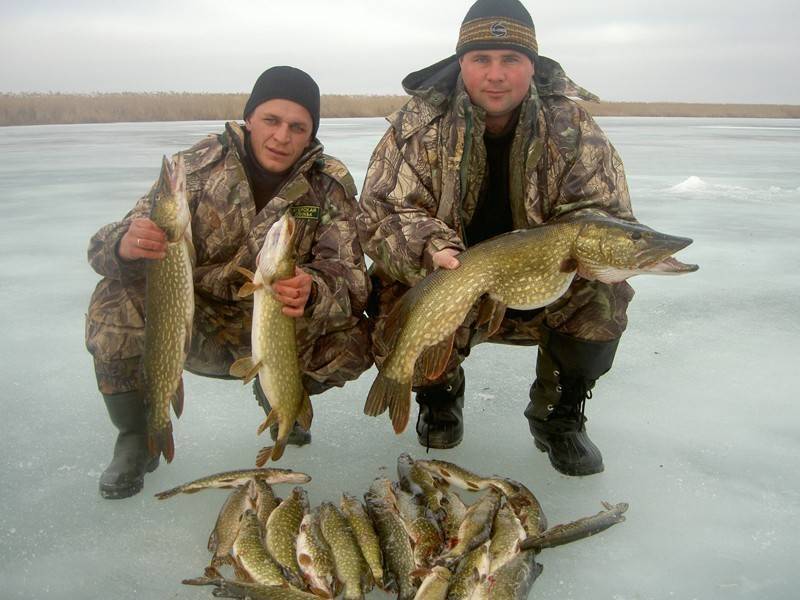 ᐉ череменецкое озеро - место для рыбака - ✅ ribalka-snasti.ru