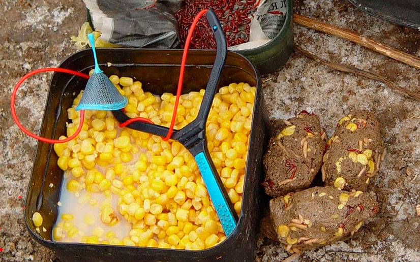 Как приготовить кукурузу для рыбалки на карпа и сазана: как правильно сварить и запарить своими руками, приготовление пьяной прикормки и насадки