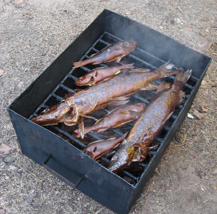 Технология холодного копчения рыбы