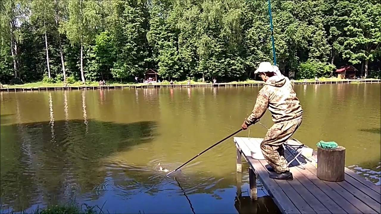 Рыбалка на осетра на платниках — на что ловить, снасти, прикормки — fishing-report.ru